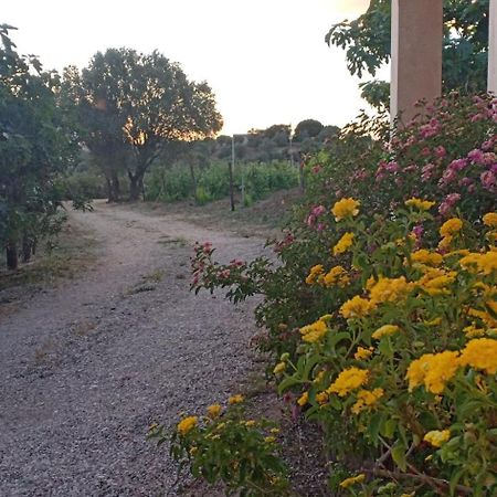 Вилла Agriturismo Muristene Доргали Экстерьер фото