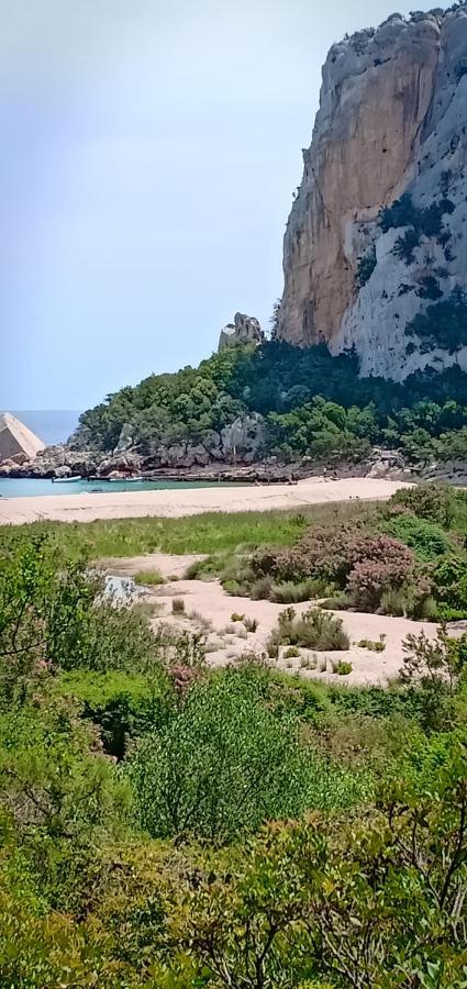 Вилла Agriturismo Muristene Доргали Экстерьер фото