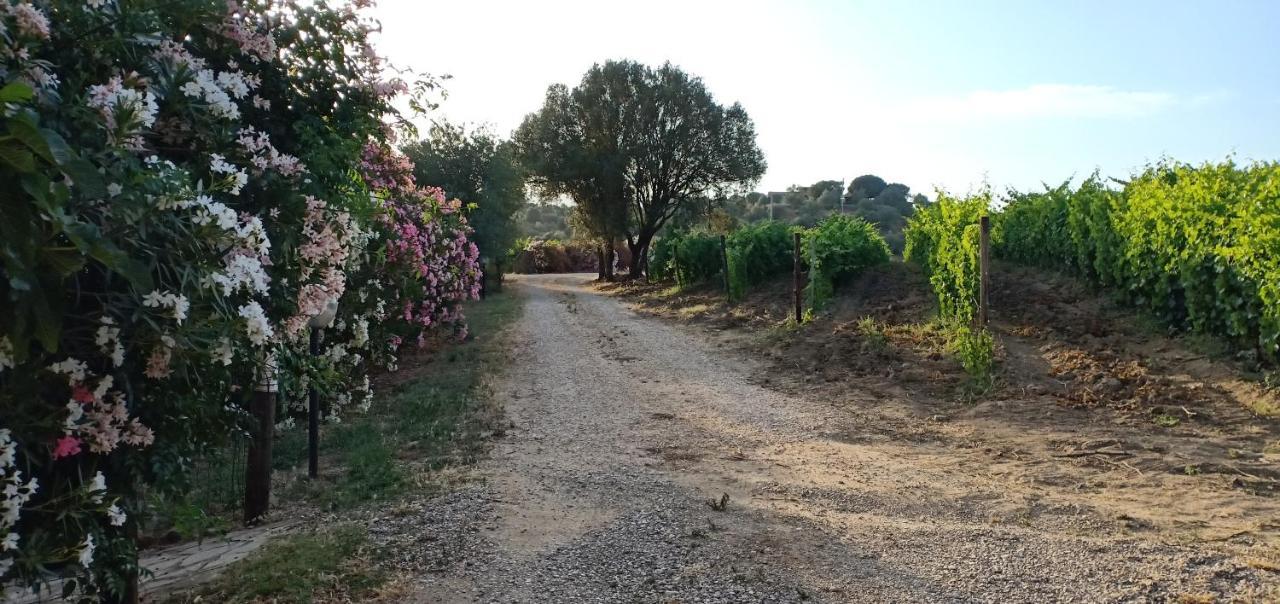 Вилла Agriturismo Muristene Доргали Экстерьер фото